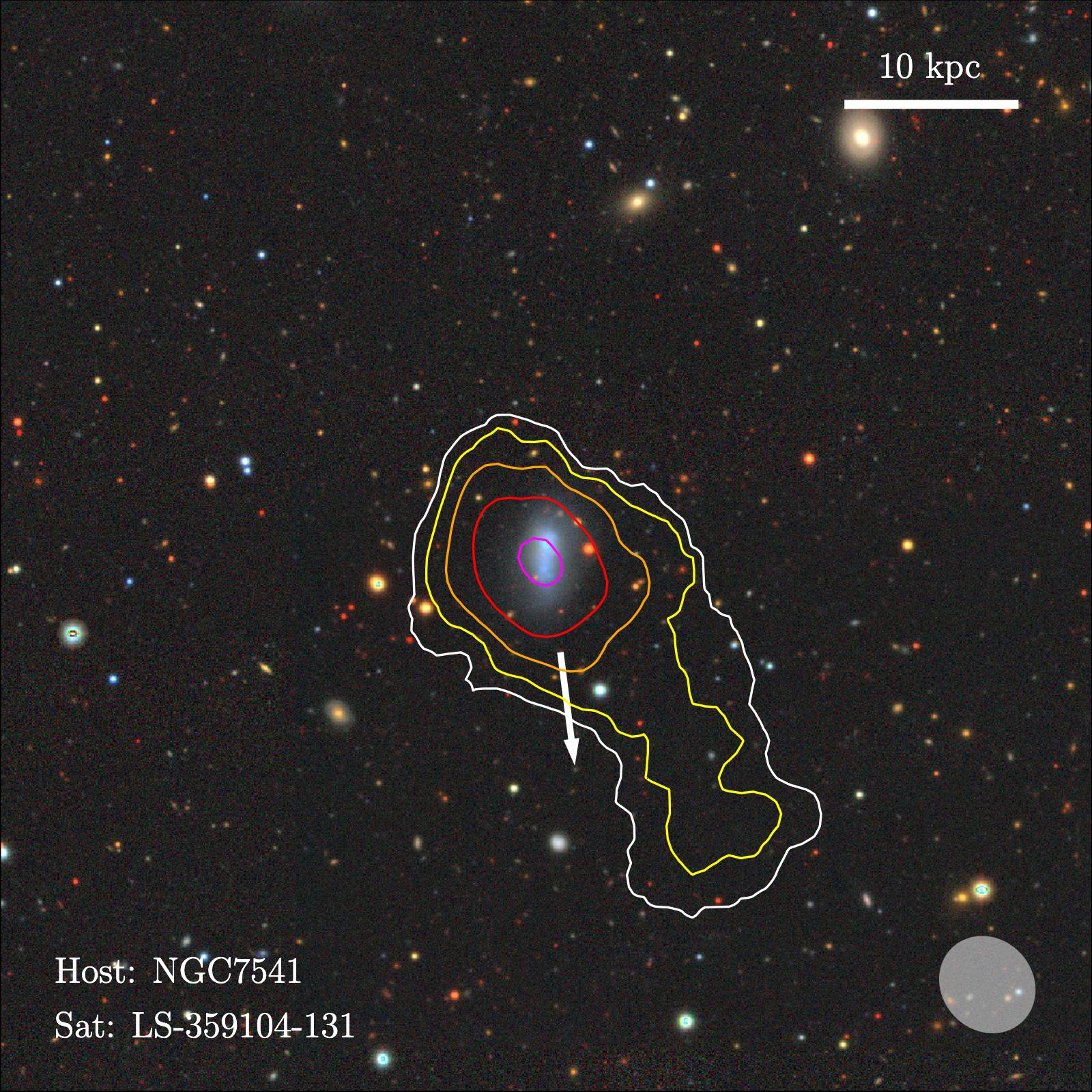 HI contours over optical imaging of LS-359104-131, a satellite of NGC 7541, showing a long one-sided gas tail.
